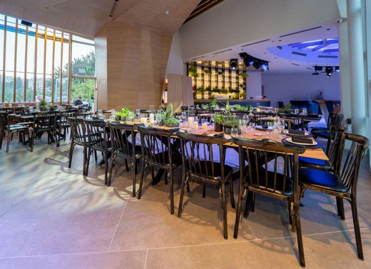 האגם בגן הבוטני (צילום: יחצ)