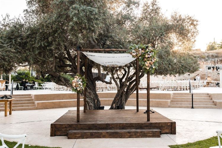 החתונה של תאיר ואור אליגולא (צילום: alexandDavidweddings)