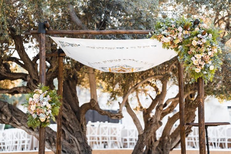 החתונה של תאיר ואור אליגולא (צילום: alexandDavidweddings)