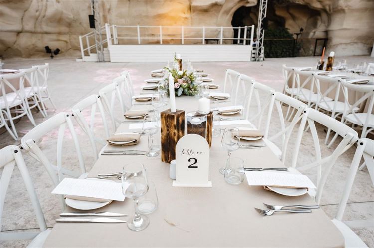 החתונה של תאיר ואור אליגולא (צילום: alexandDavidweddings)