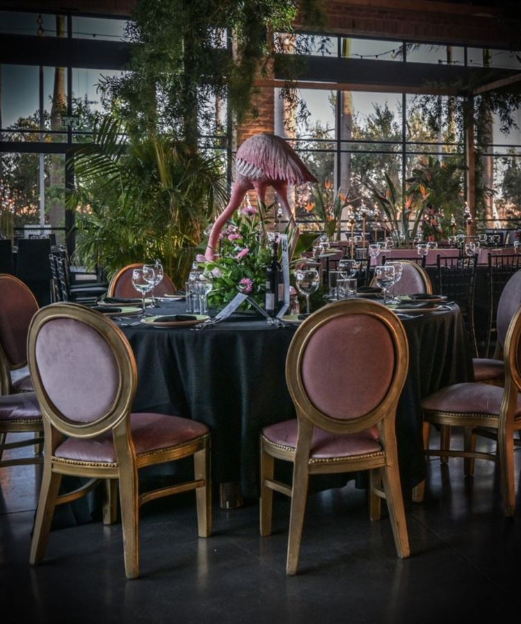 חגיגת בת המצווה של תהל אזרד (צילום: שלומי ביטון)