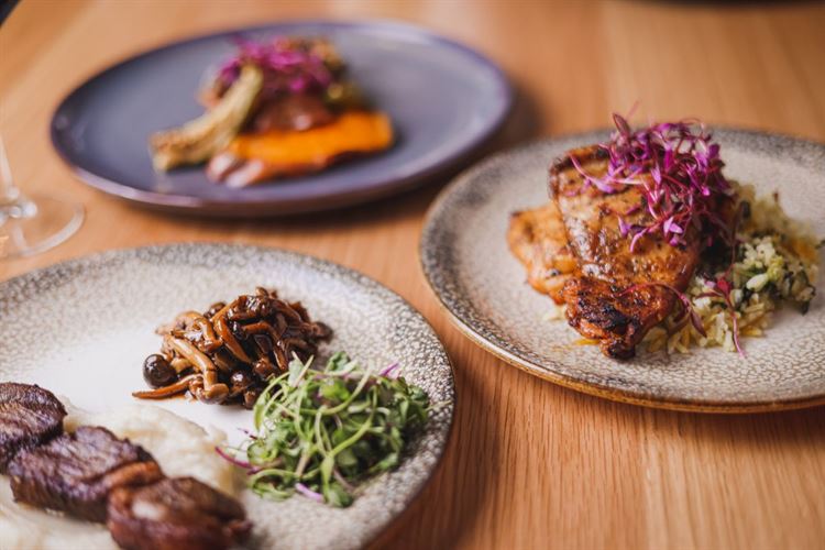 הצצה אל מתחם האירועים WIN (צילום: עידן כנפי)