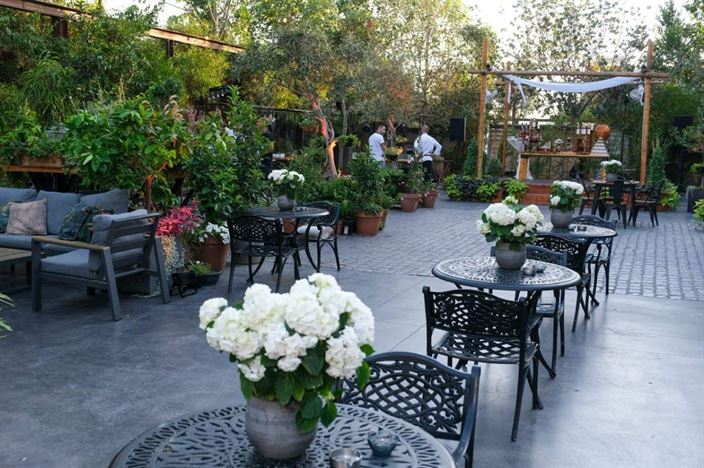 בגינה של בדולינה בדולינה #1