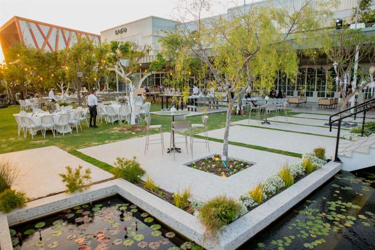 מתחם דואאה, גן הסוקולנטים של LAGO (צילום: וואלה! מזל טוב)