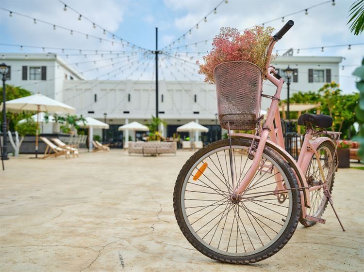 מתחם האירועים סיטרוס (צילום: יחצ)