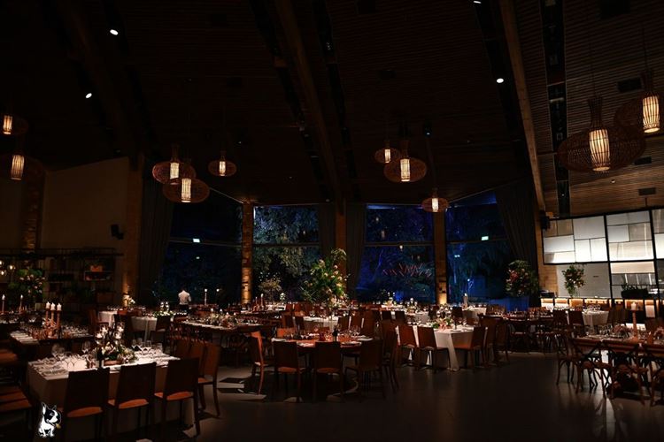 החתונה של דניאל לידור ולי אגמי (צילום: ברי חיון)