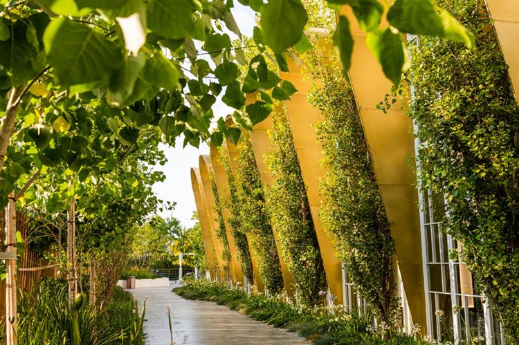 מתחם האירועים The sen (צילום: יחצ)