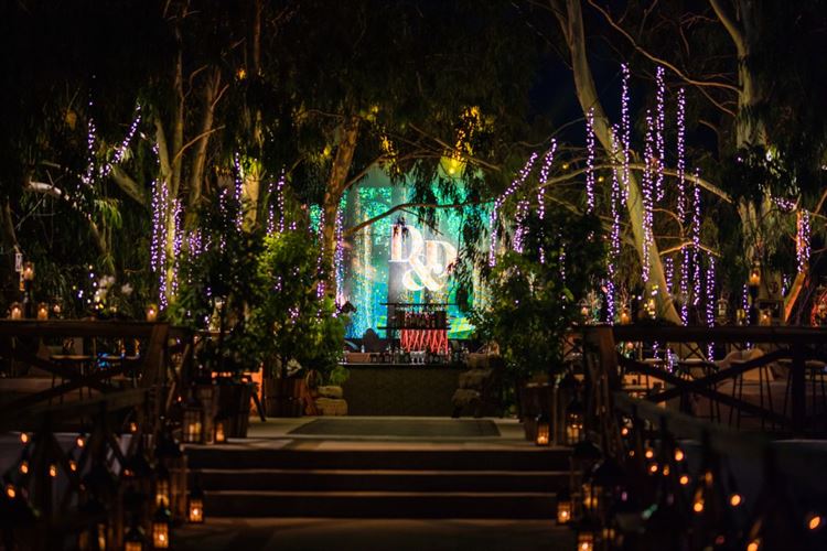 החתונה של דניאל ודניאל אריסון דורסמן (צילום: חיים אפריאט)