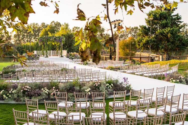 החתונה של דניאל ודניאל אריסון דורסמן (צילום: חיים אפריאט)