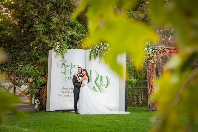 החתונה של דניאל ודניאל אריסון דורסמן (צילום: חיים אפריאט)