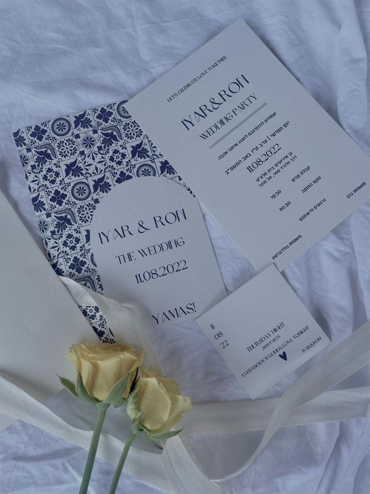 החתונה של אייר ורון (צילום: עידו סיטבון)