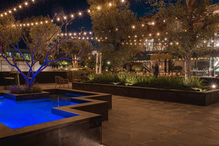 גן אירועים ארטיסטה (צילום: וואלה! מזל טוב)