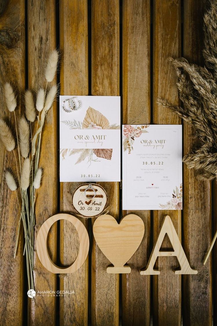 החתונה של אור ועמית (צילום: אהרון גדליה)