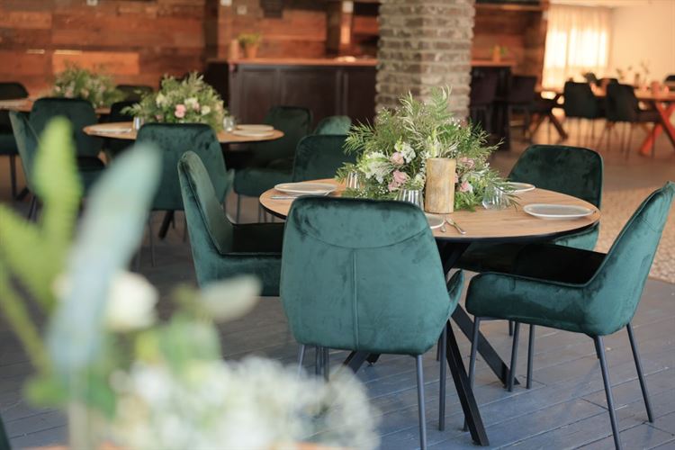 הצצה אל מתחם האירועים 'מיקה' (צילום: וואלה מזל טוב)