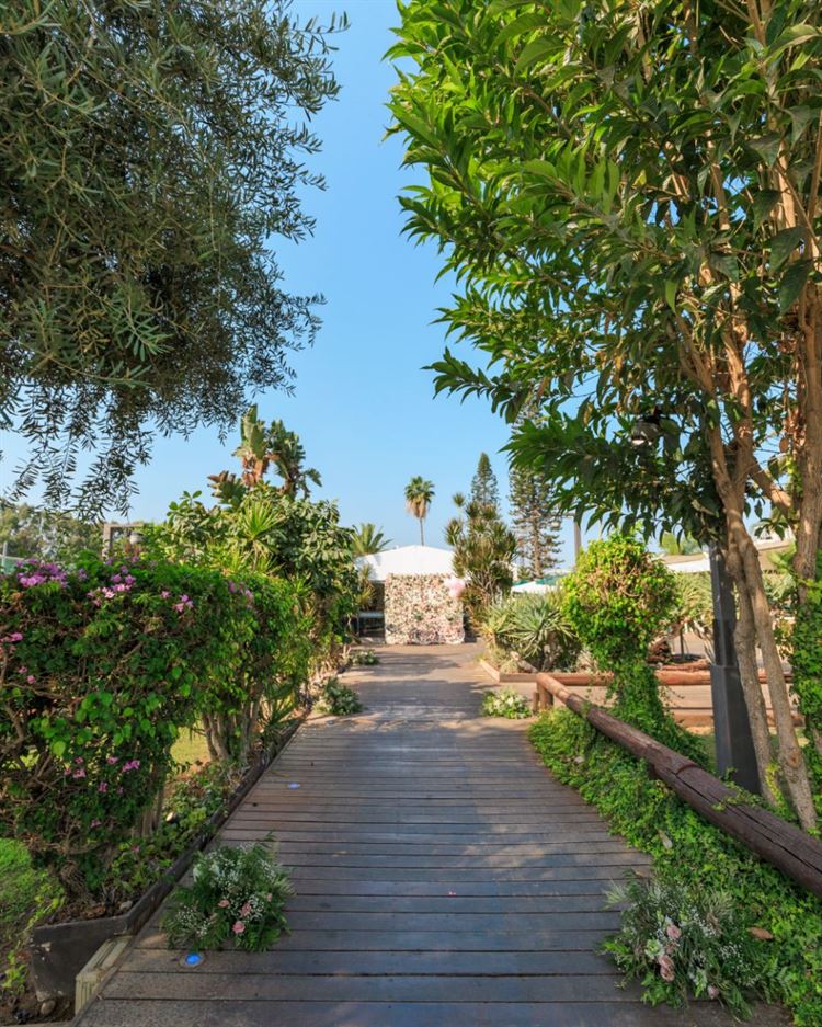 הצצה אל מתחם האירועים 'מיקה' (צילום: וואלה! מזל טוב)