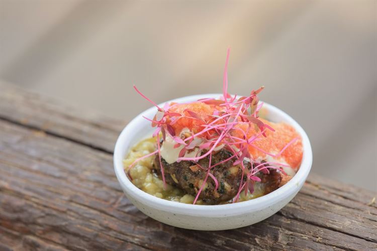 הצצה אל מתחם האירועים 'מיקה' (צילום: וואלה! מזל טוב)