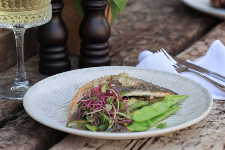 הצצה אל מתחם האירועים 'מיקה' (צילום: וואלה! מזל טוב)