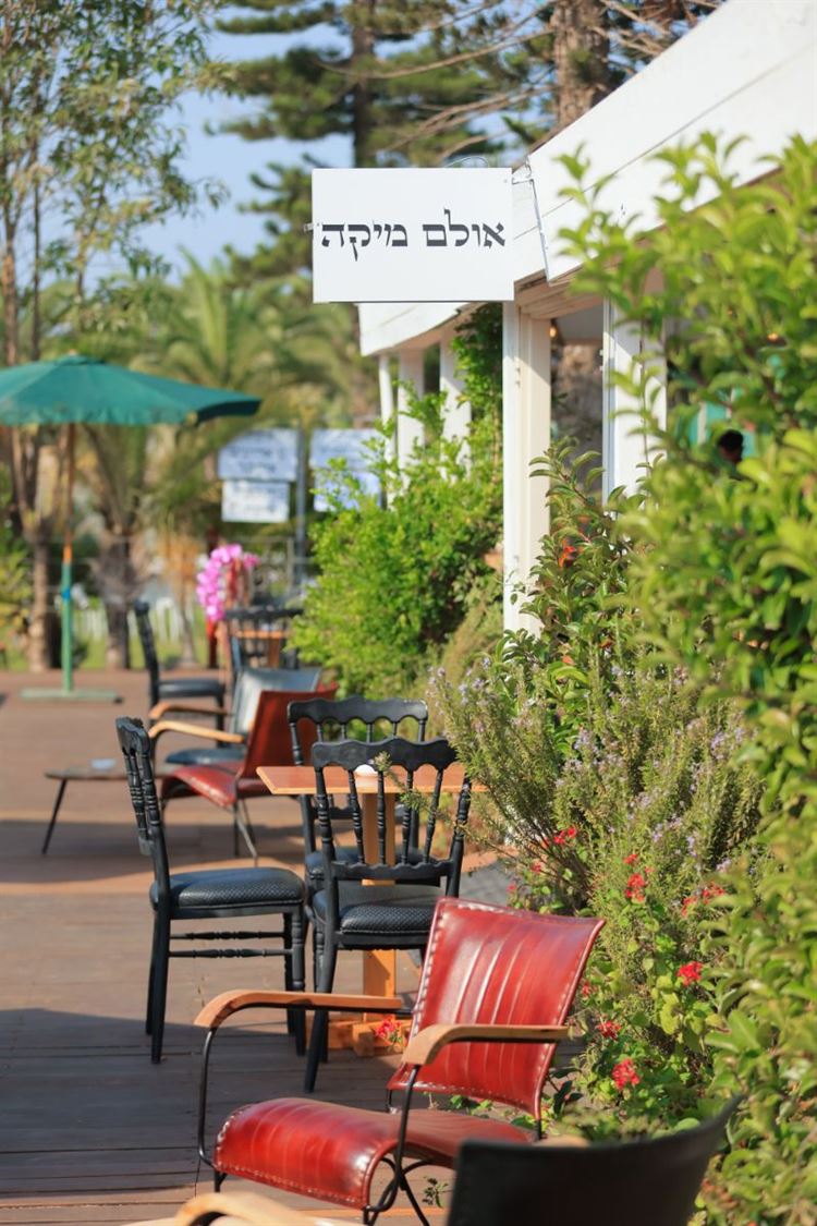 הצצה אל מתחם האירועים 'מיקה' (צילום: וואלה! מזל טוב)