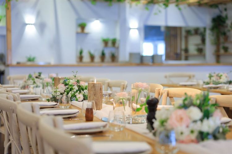 הצצה אל מתחם האירועים 'מיקה' (צילום: וואלה! מזל טוב)