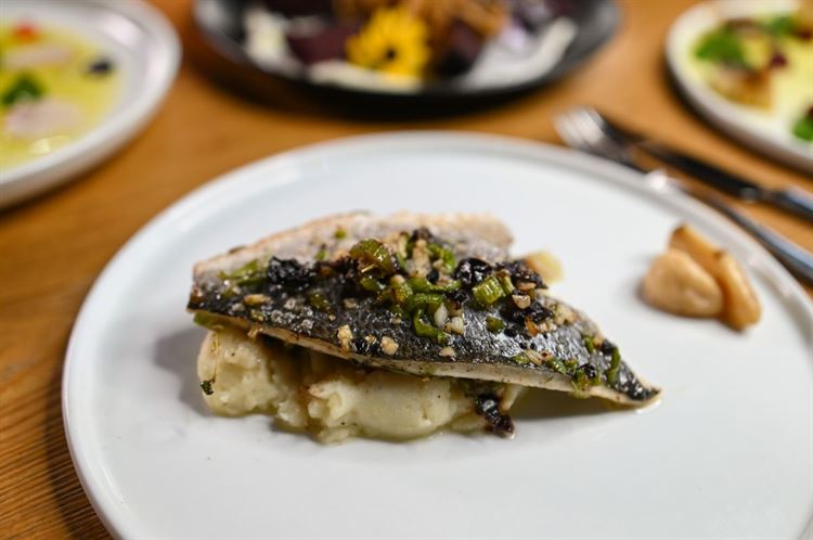 תפריט 2023 של טרויה (צילום: וואלה! מזל טוב)