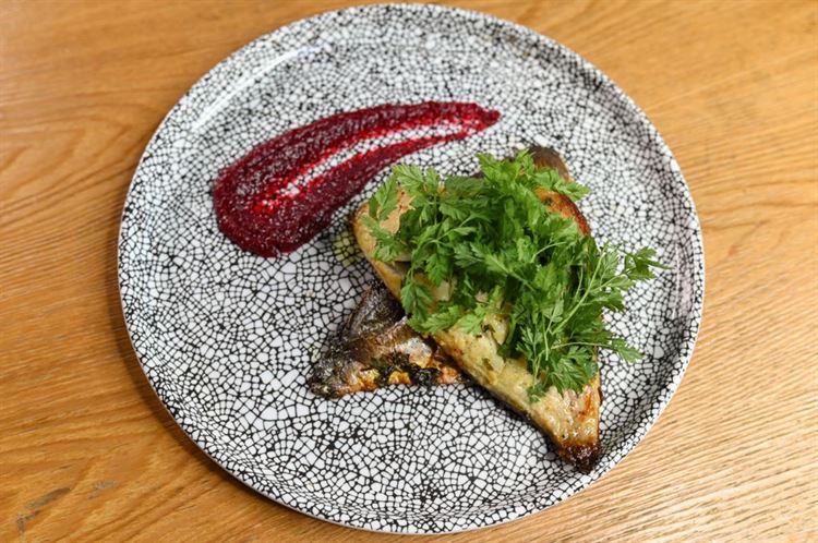 תפריט 2023 של טרויה (צילום: וואלה! מזל טוב)