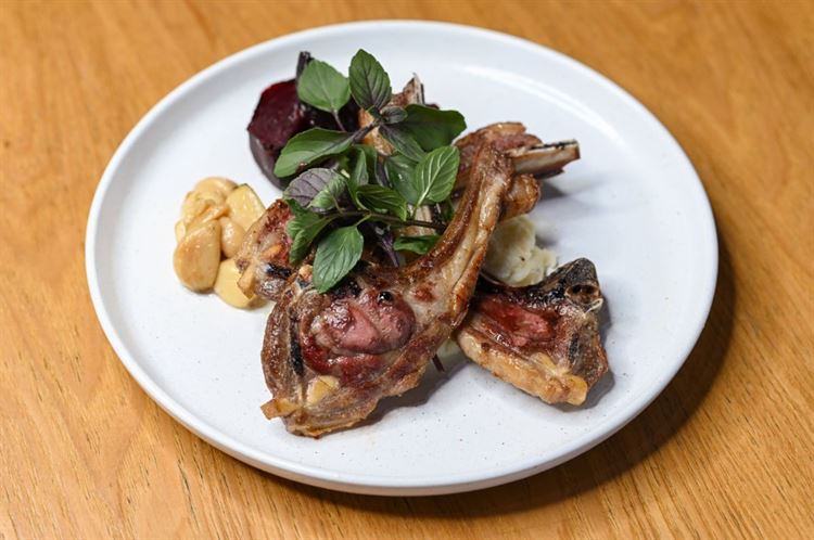 תפריט 2023 של טרויה (צילום: וואלה! מזל טוב)