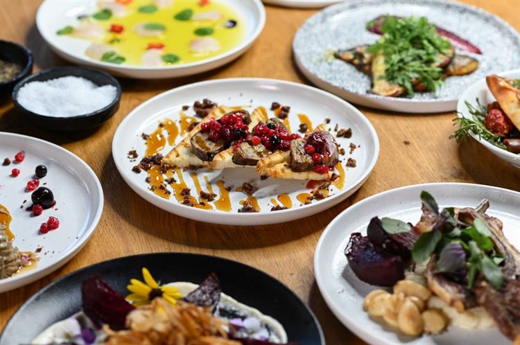 תפריט 2023 של טרויה (צילום: וואלה! מזל טוב)