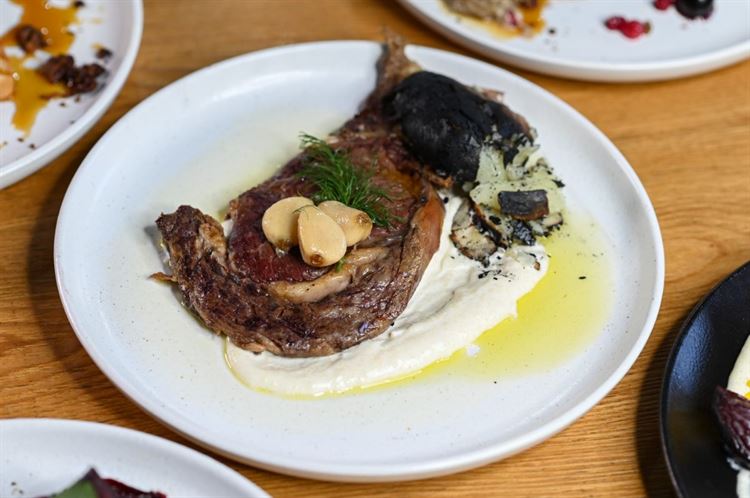 תפריט 2023 של טרויה (צילום: וואלה! מזל טוב)