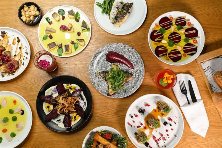 תפריט 2023 של טרויה (צילום: וואלה! מזל טוב)