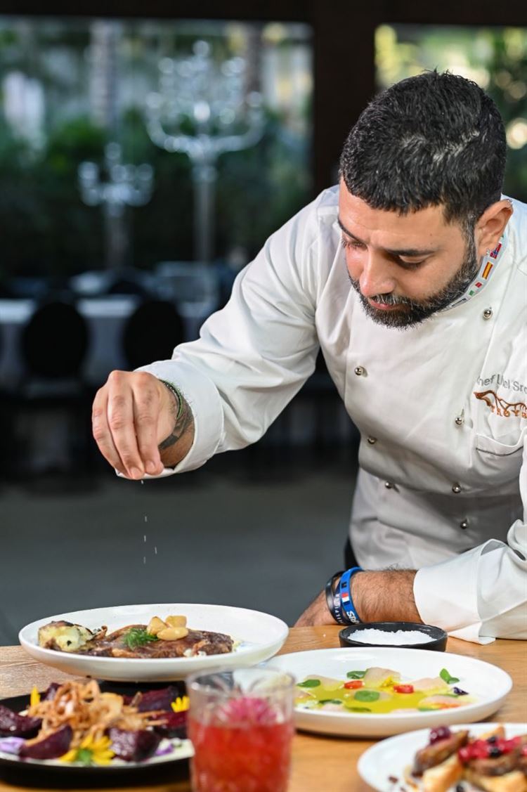 תפריט 2023 של טרויה (צילום: וואלה! מזל טוב)