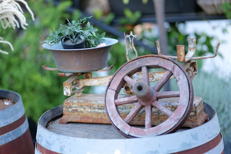 הצצה אל מתחם האירועים בדולינה (צילום: לה בוהם)