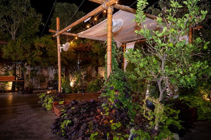 חתונות בדולינה #10