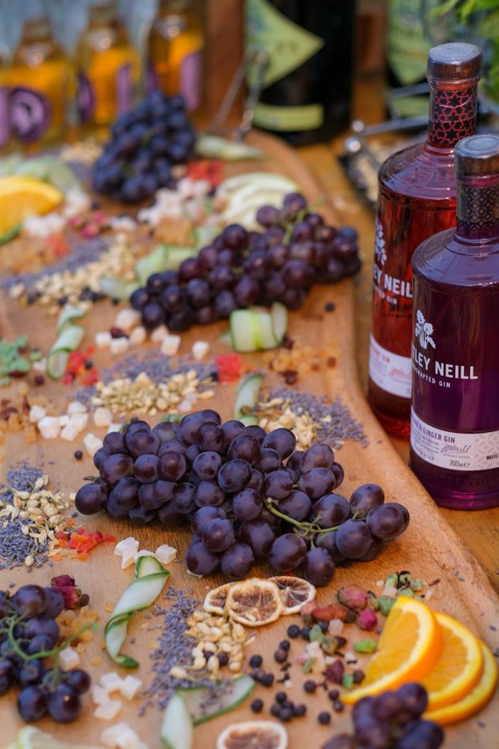 קבלת פנים בדולינה #10