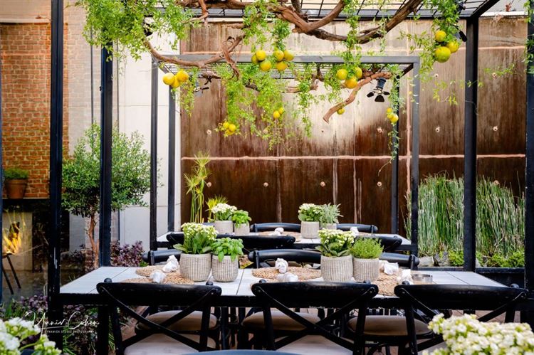 החתונה של כרמית ועידו (צילום: יניב כהן)