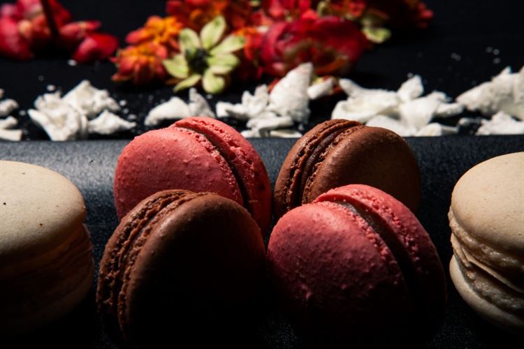 הטעמים של מתחם האירועים 'הבית הירוק' (צילום: יחצ)