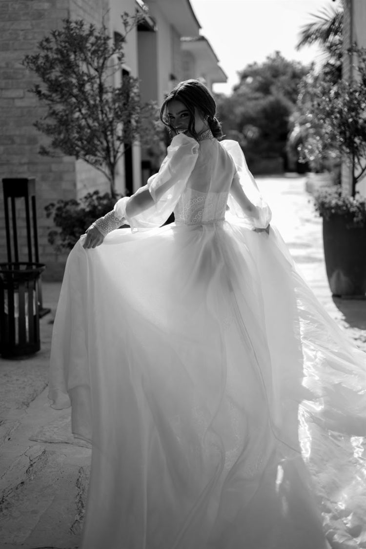 החתונה של אבי ואביה (צילום: שי אשכנזי)