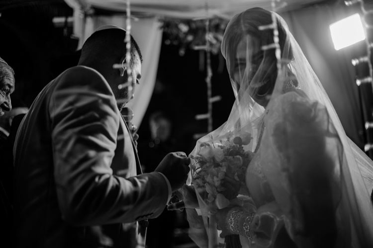 החתונה של אבי ואביה (צילום: שי אשכנזי)