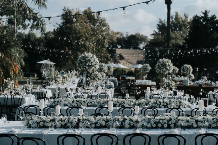 החתונה של ליטל טואטי ויובל אוחיון (צילום: שי בוזגלו מ-Your Story Wedd)