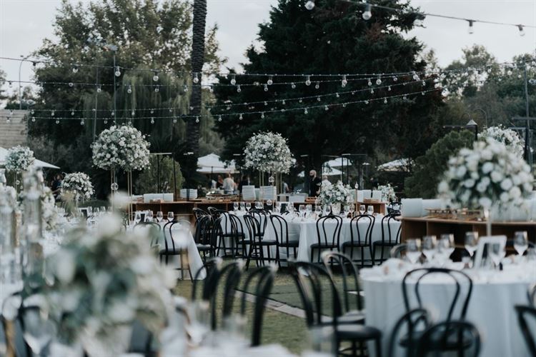 החתונה של ליטל טואטי ויובל אוחיון (צילום: שי בוזגלו מ-Your Story Wedd)