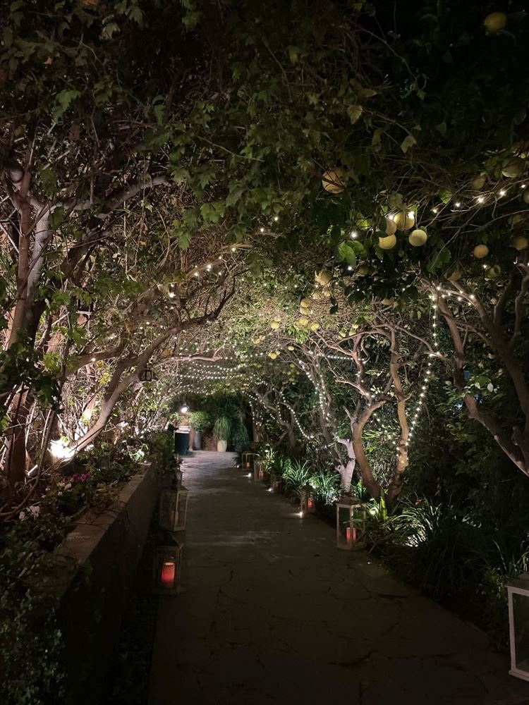 החתונה של עופרי ארד ושני ברגר במתחם האירועים אלכסנדר (צילום: וואלה! מזל טוב)