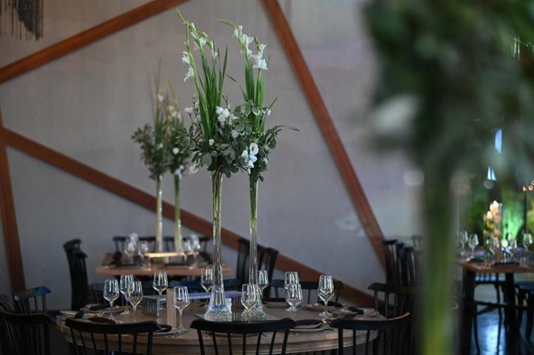 מתחם האירועים ווין WIN (צילום: מתן שמוע)