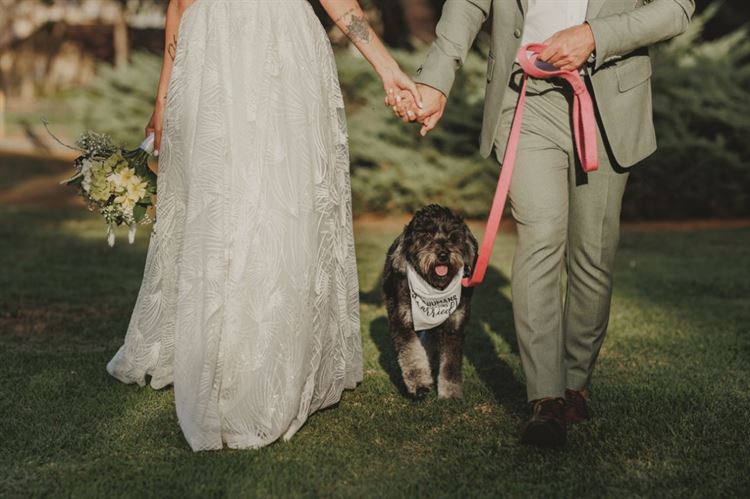 החתונה של חן ויובל שמגר (צילום: רפי ג'ירו)