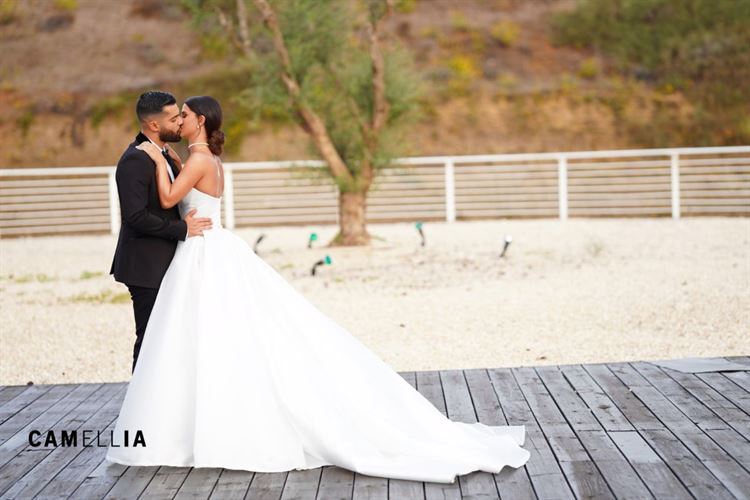 החתונה של דניאל ומור (צילום: camellia)