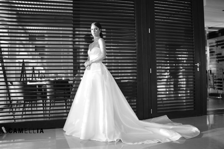 החתונה של דניאל ומור (צילום: camellia)