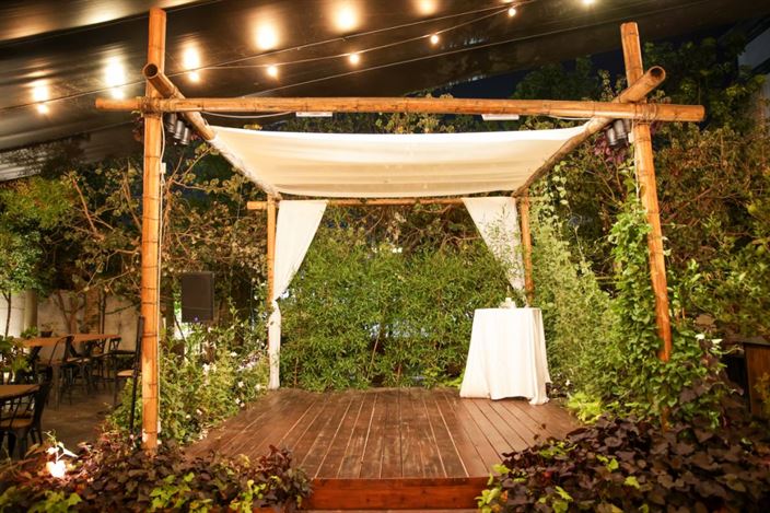 חתונת חורף בדולינה #6