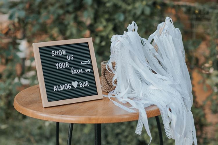 החתונה של אלמוג ובר (צילום: אנדריי אברמוב)