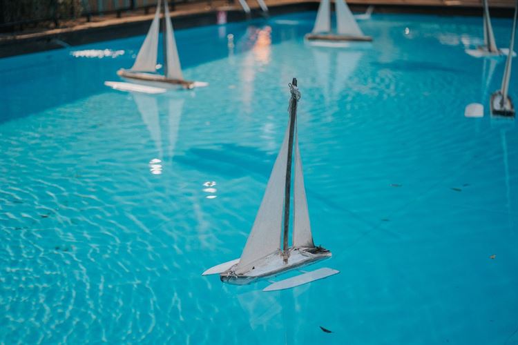 החתונה של אלמוג ובר (צילום: אנדריי אברמוב)