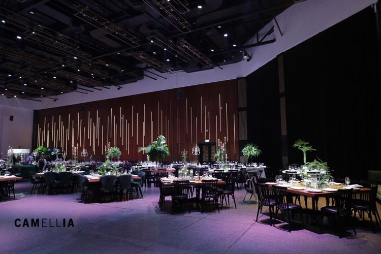 החתונה של טל ואליהו שלומי (צילום: קמליה)