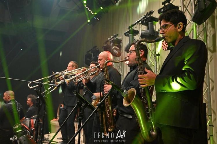 החתונה של אסתר פדידה וגל אריאל (צילום: אריאל רבינסקי)