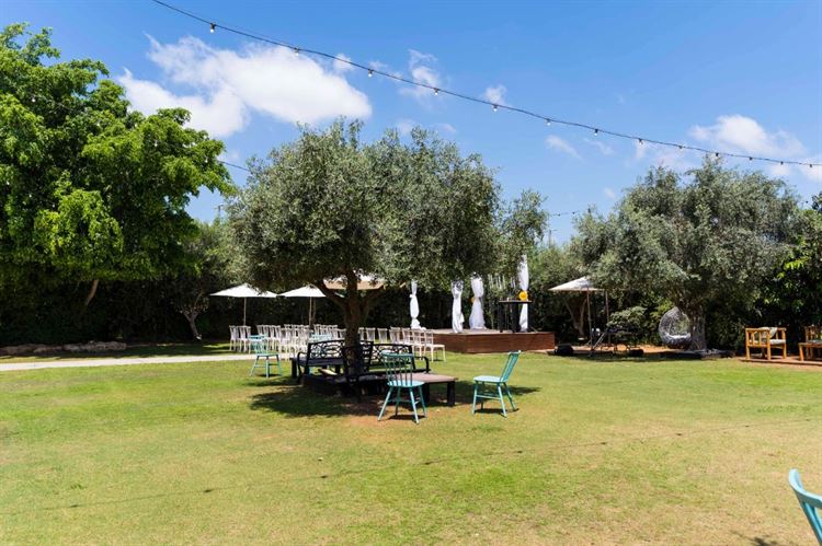 חתונת שישי בצהריים במתחם האירועים 'יונו' (צילום: יחצ)